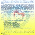 thu-van-dong-tai-tro-2019